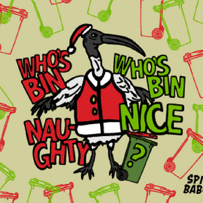 Who's Bin Naughty? 🗑️🎅 - Stubby Holder