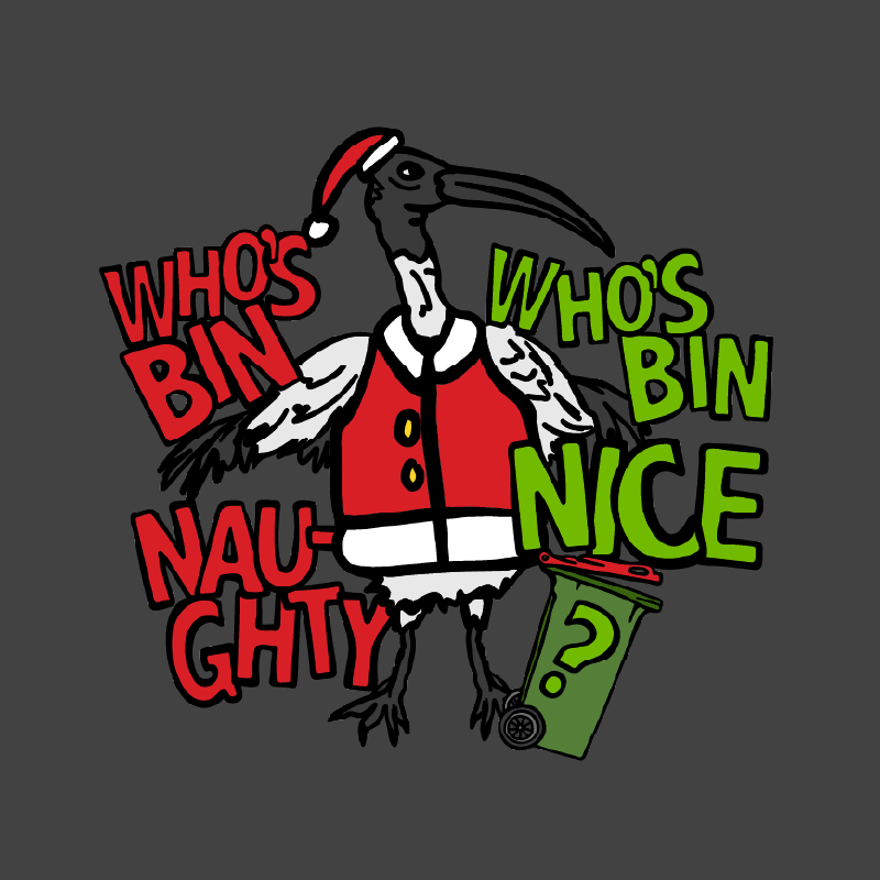 Who's Bin Naughty? 🗑️🎅 - Women's T Shirt