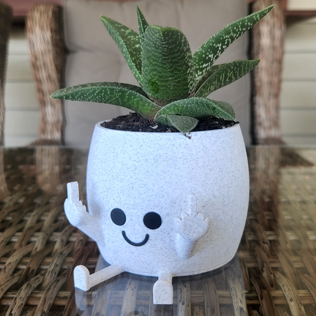 Sassy & Happy 🖕 - Naughty Planter