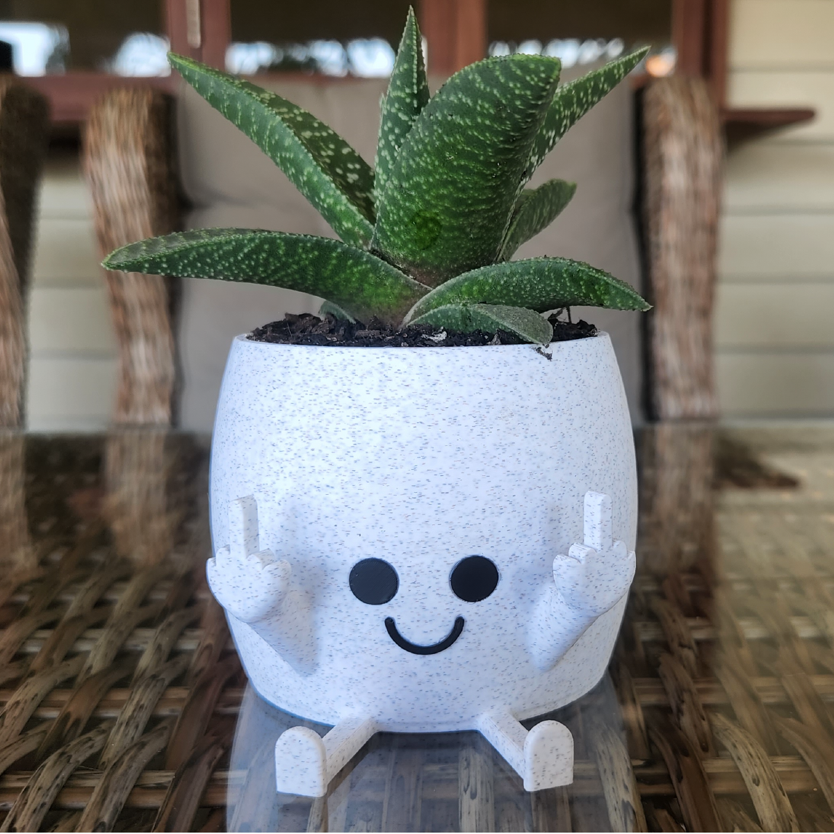 Sassy & Happy 🖕 - Naughty Planter