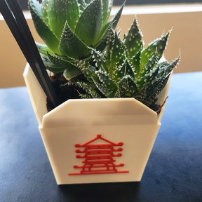 Succulent Chinese Meal 🥡 -  Planter