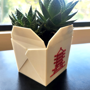 Succulent Chinese Meal 🥡 -  Planter