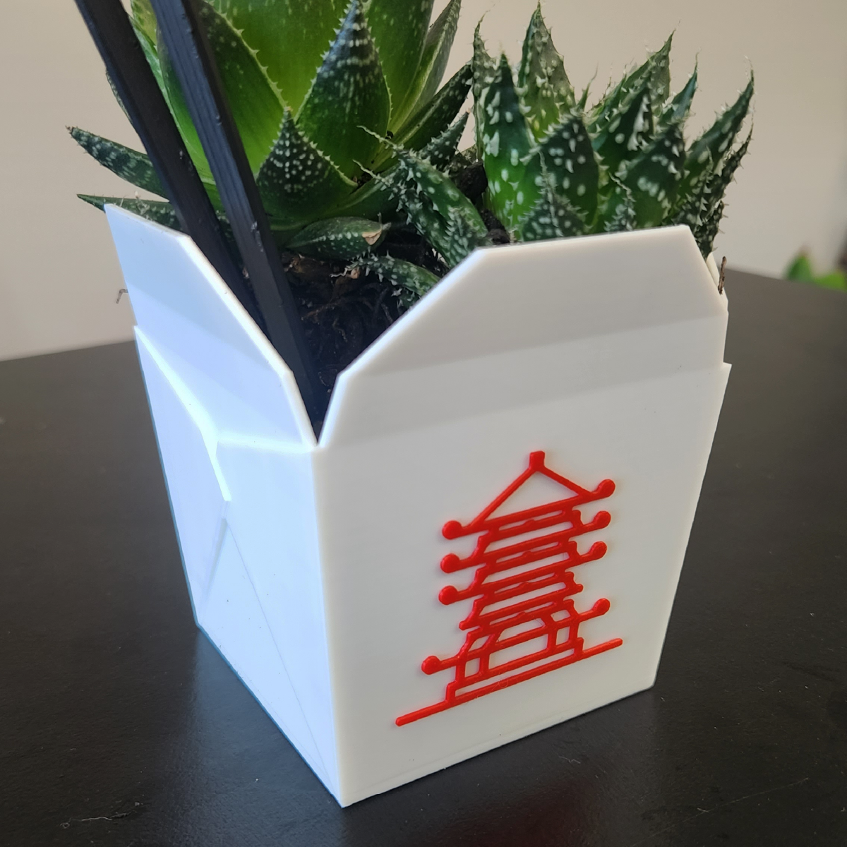 Succulent Chinese Meal 🥡 -  Planter