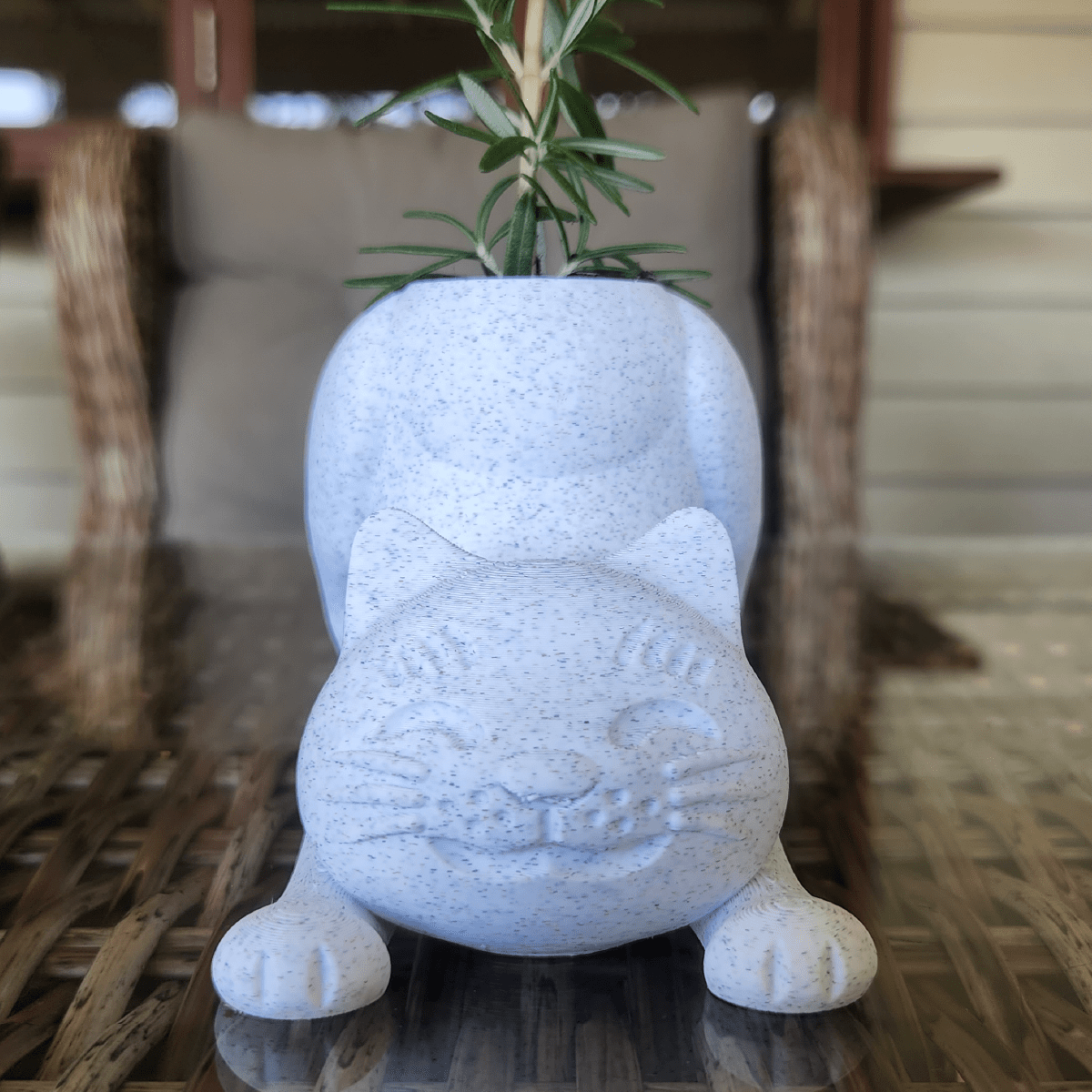 Cat Butt 🐈 - Naughty Planter