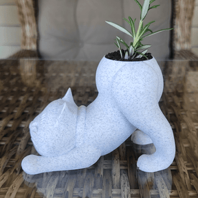 Cat Butt 🐈 - Naughty Planter