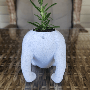 Cat Butt 🐈 - Naughty Planter