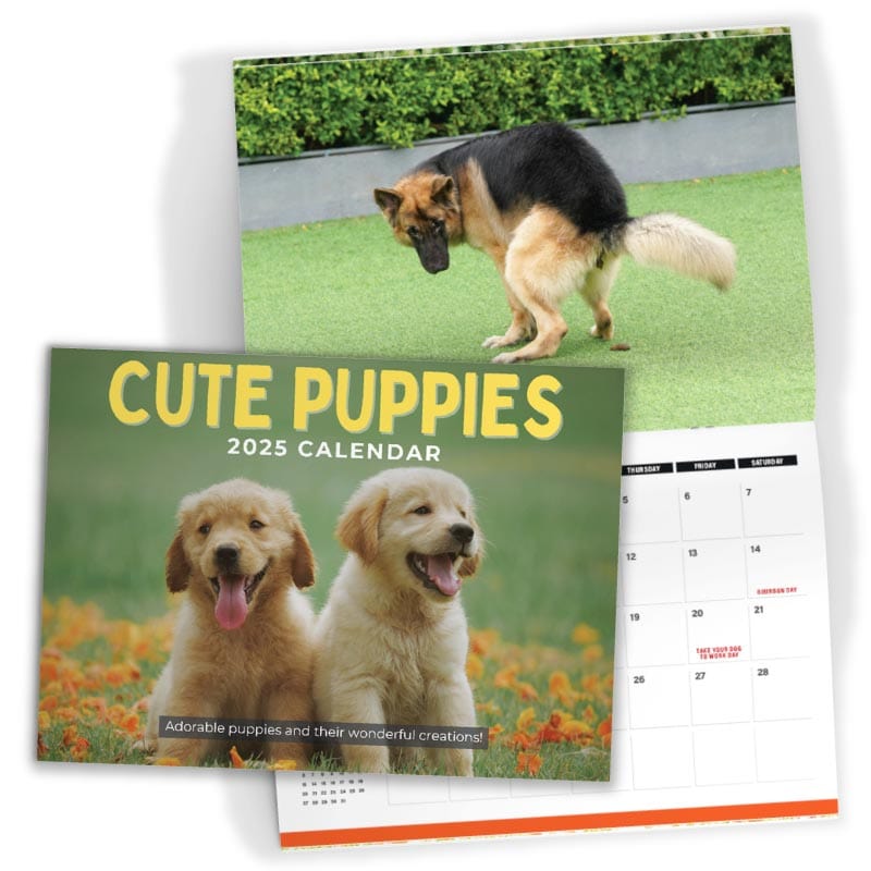 Cute Puppies Prank 🐶😈 - 2025 Calendar