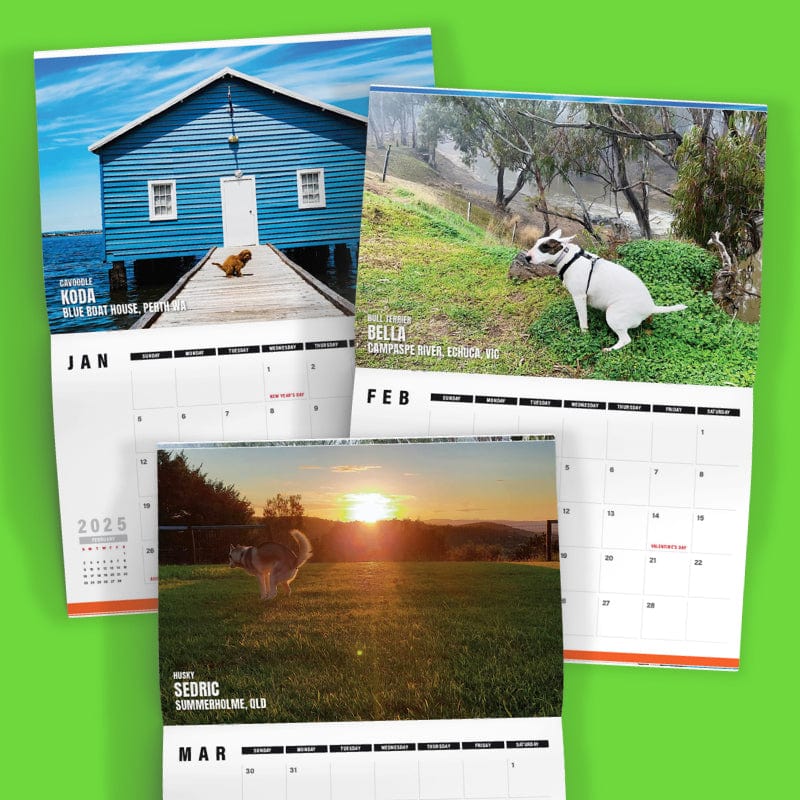 Dogs Pooping in Beautiful 'Australian' Places 💩🐶 - 2025 Calendar