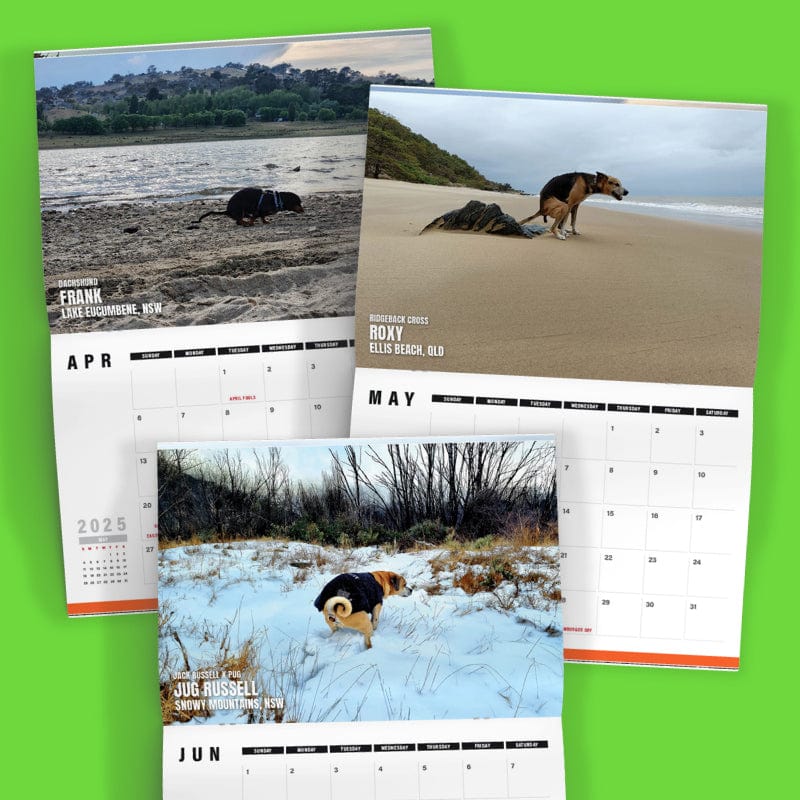 Dogs Pooping in Beautiful 'Australian' Places 💩🐶 - 2025 Calendar