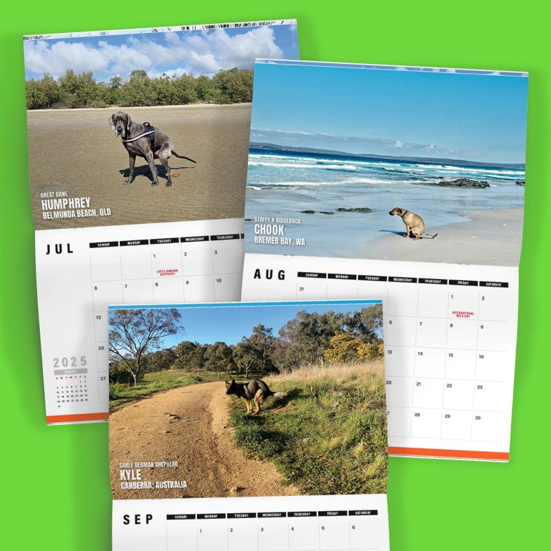 Dogs Pooping in Beautiful 'Australian' Places 💩🐶 - 2025 Calendar