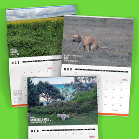 Dogs Pooping in Beautiful 'Australian' Places 💩🐶 - 2025 Calendar