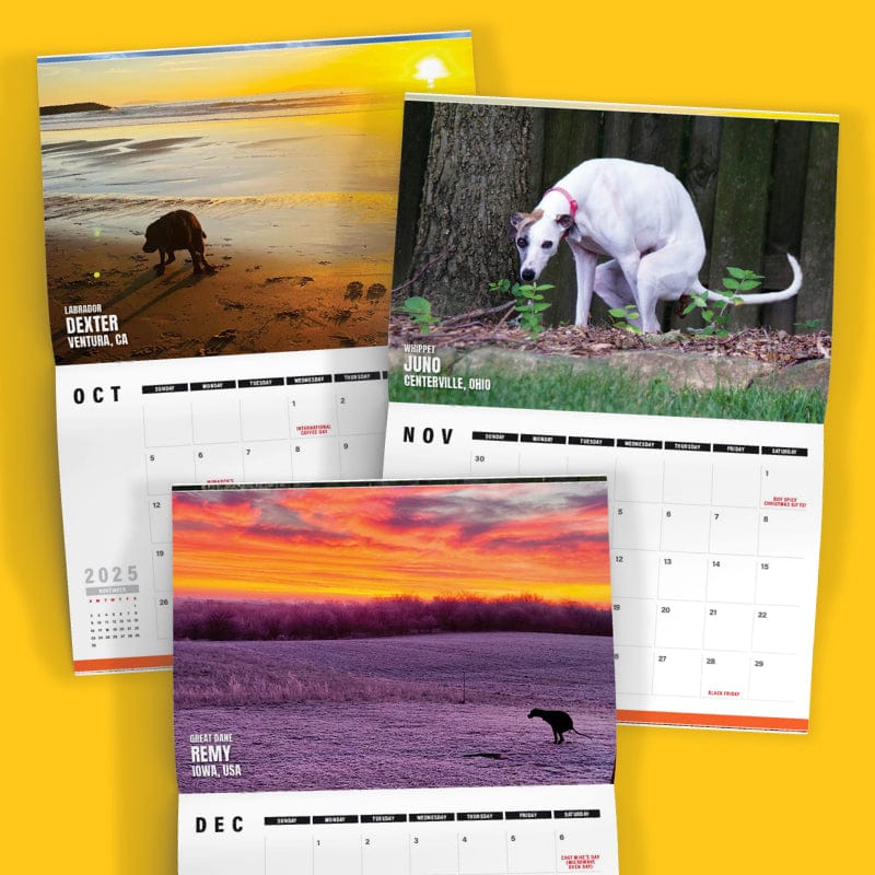 Dogs Pooping in Beautiful 'International' Places 💩🐶 - 2025 Calendar