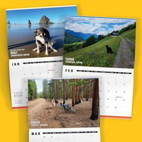 Dogs Pooping in Beautiful 'International' Places 💩🐶 - 2025 Calendar