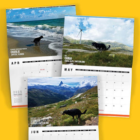 Dogs Pooping in Beautiful 'International' Places 💩🐶 - 2025 Calendar