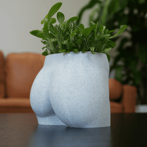 Nice Butt 🍑🪴 - Naughty Planter / Pen Holder