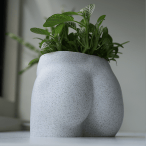 Nice Butt 🍑🪴 - Naughty Planter / Pen Holder