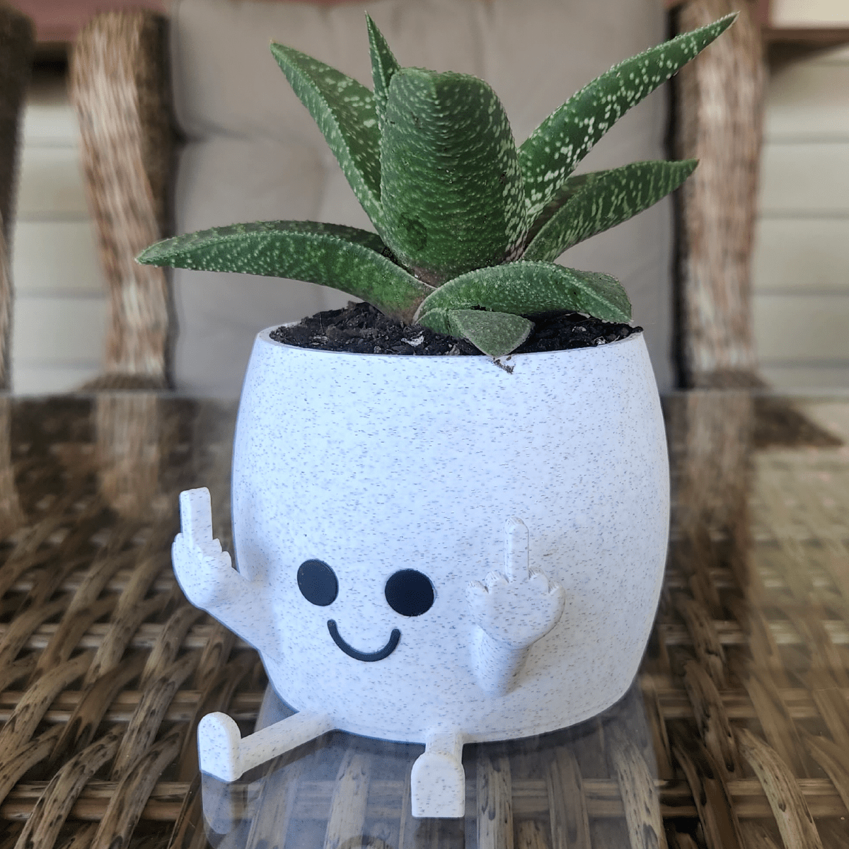 Sassy & Happy 🖕 - Naughty Planter / Pen Holder