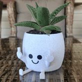 Sassy & Happy 🖕 - Naughty Planter / Pen Holder