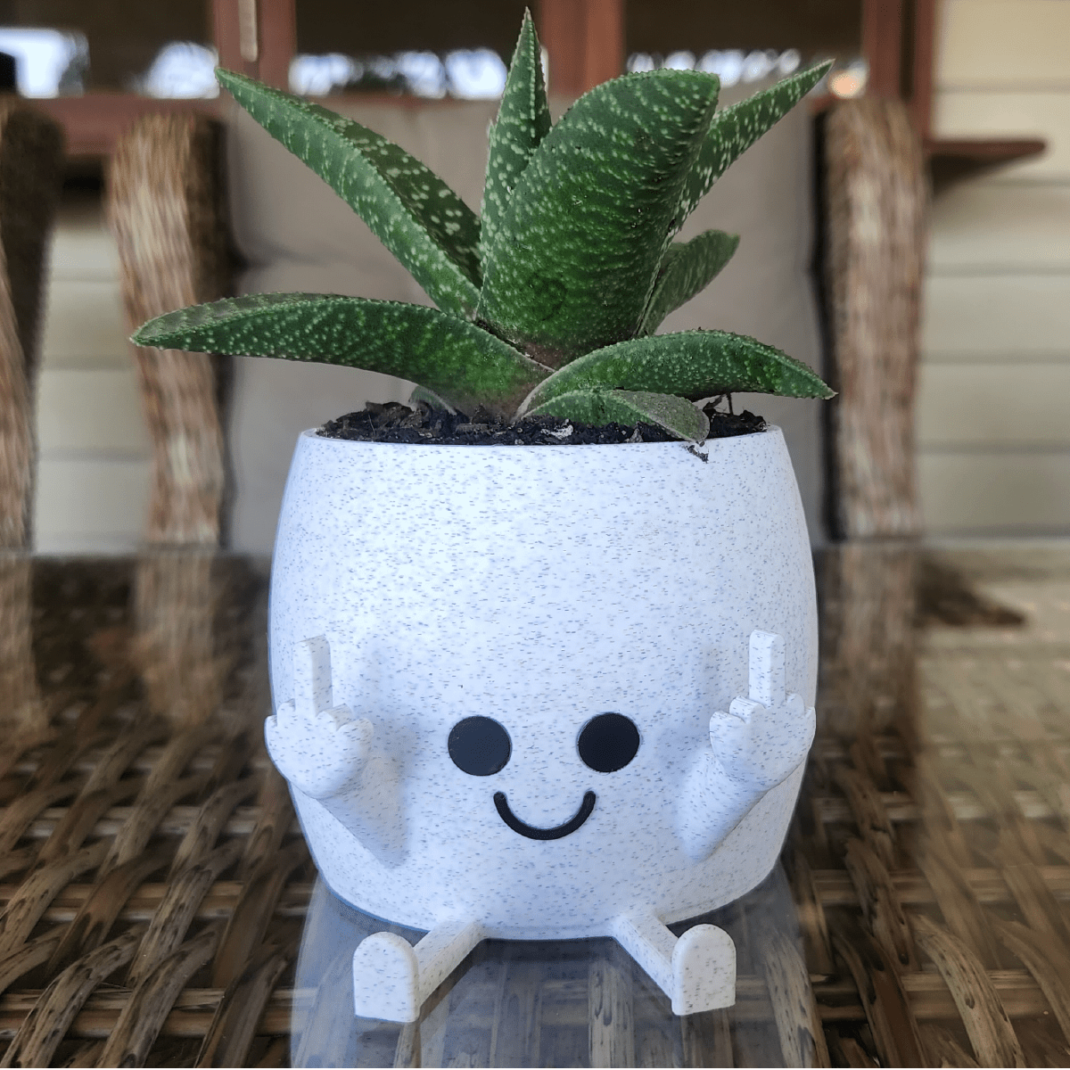 Sassy & Happy 🖕 - Naughty Planter / Pen Holder