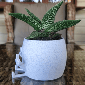 Sassy & Happy 🖕 - Naughty Planter / Pen Holder